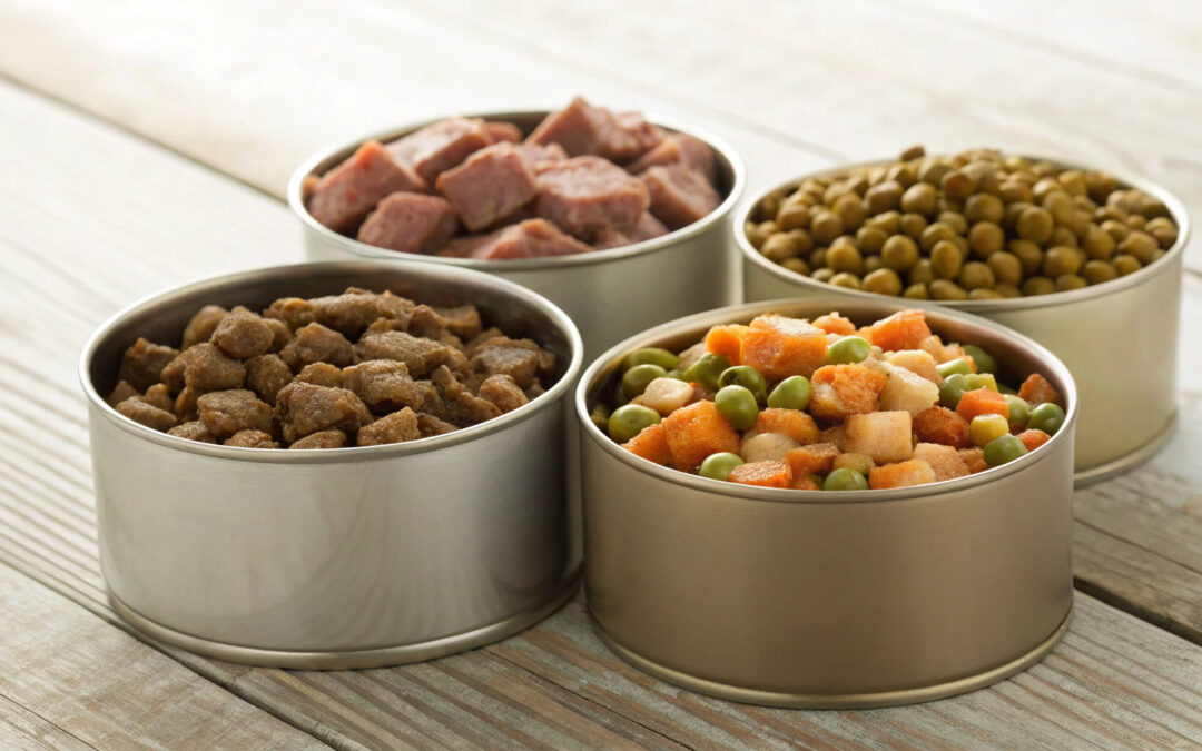 Sucha czy mokra karma dla psa – która opcja lepiej wspiera zdrowie Twojego pupila?