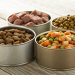 content 10 1768822329