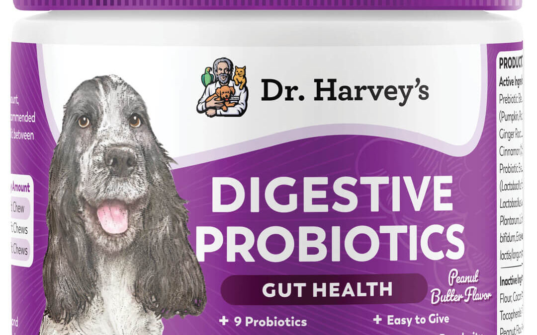 Probiotyki dla psa: jak wspierają florę jelitową i kiedy sięgnąć po wsparcie dla układu trawiennego