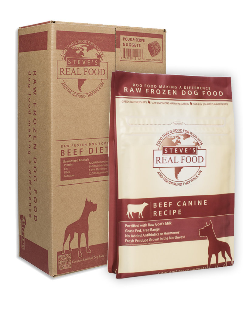 kocię liżące mokrą karmę z talerzyka na dywanie w pokoju